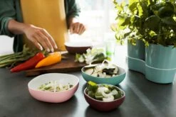 Mepal Schaal Synthesis 2.5 L Coral OP=OP -Mepal Winkel 102052073300 1 211216 113307