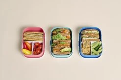 Mepal Lunchbox Campus Met Bentobakje - Cars -Mepal Winkel 10744 mepal lunch boxes campus variation is childs play 2022 09 09 113147 fjap