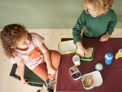 Mepal Lunchbox Campus Met Bentobakje - Jungle -Mepal Winkel lunch products for children campus lunch break topview2 2022 09 09 112954 nbmo